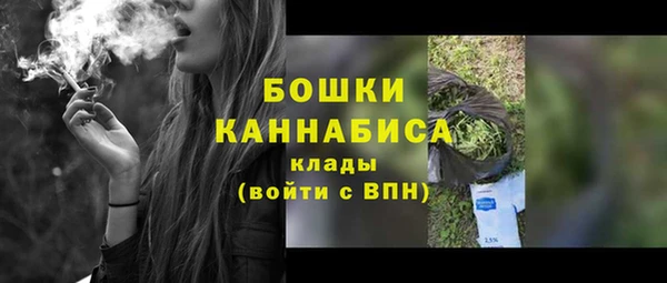 ПСИЛОЦИБИНОВЫЕ ГРИБЫ Киреевск