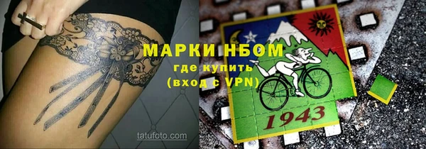 стаф Березники