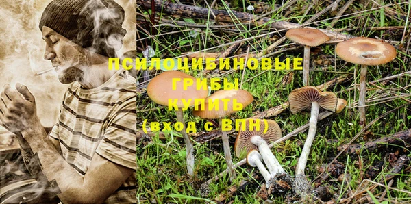 ПСИЛОЦИБИНОВЫЕ ГРИБЫ Киреевск